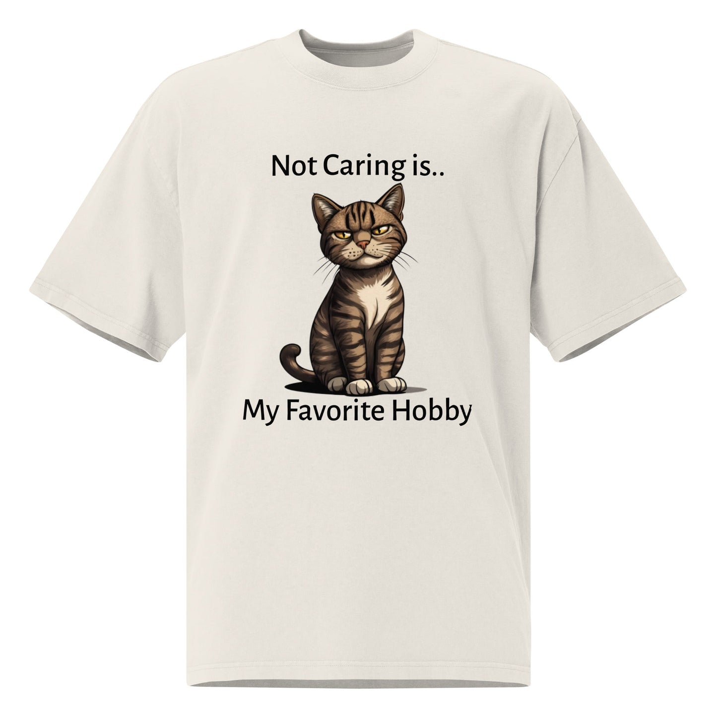 A Purr - fect Pastime Oversized Faded T-shirt - Ruppy's Creations