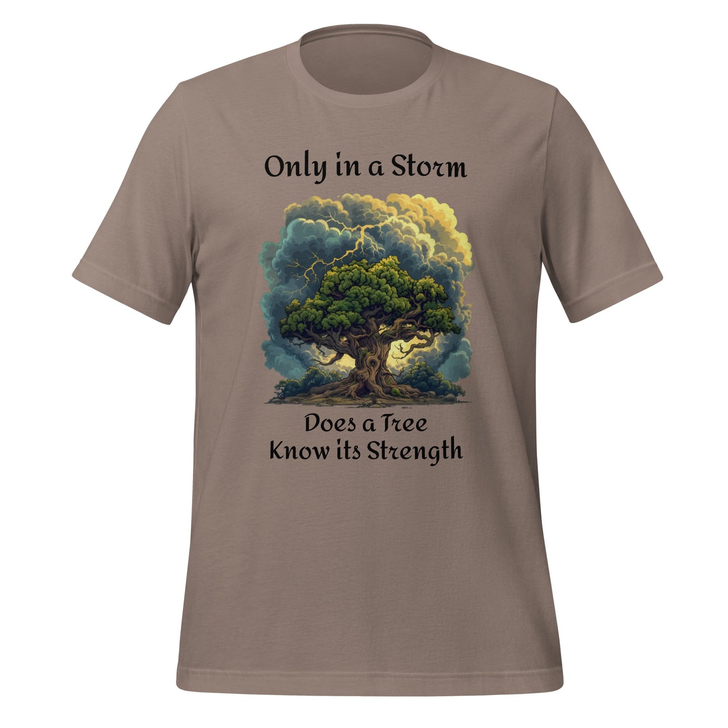 In a Storm Inspirational Unisex t-shirt - Ruppy's Creations