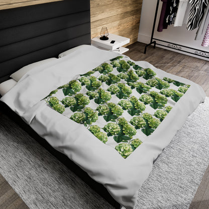 Green Hydrangea on White Velveteen Plush Blanket