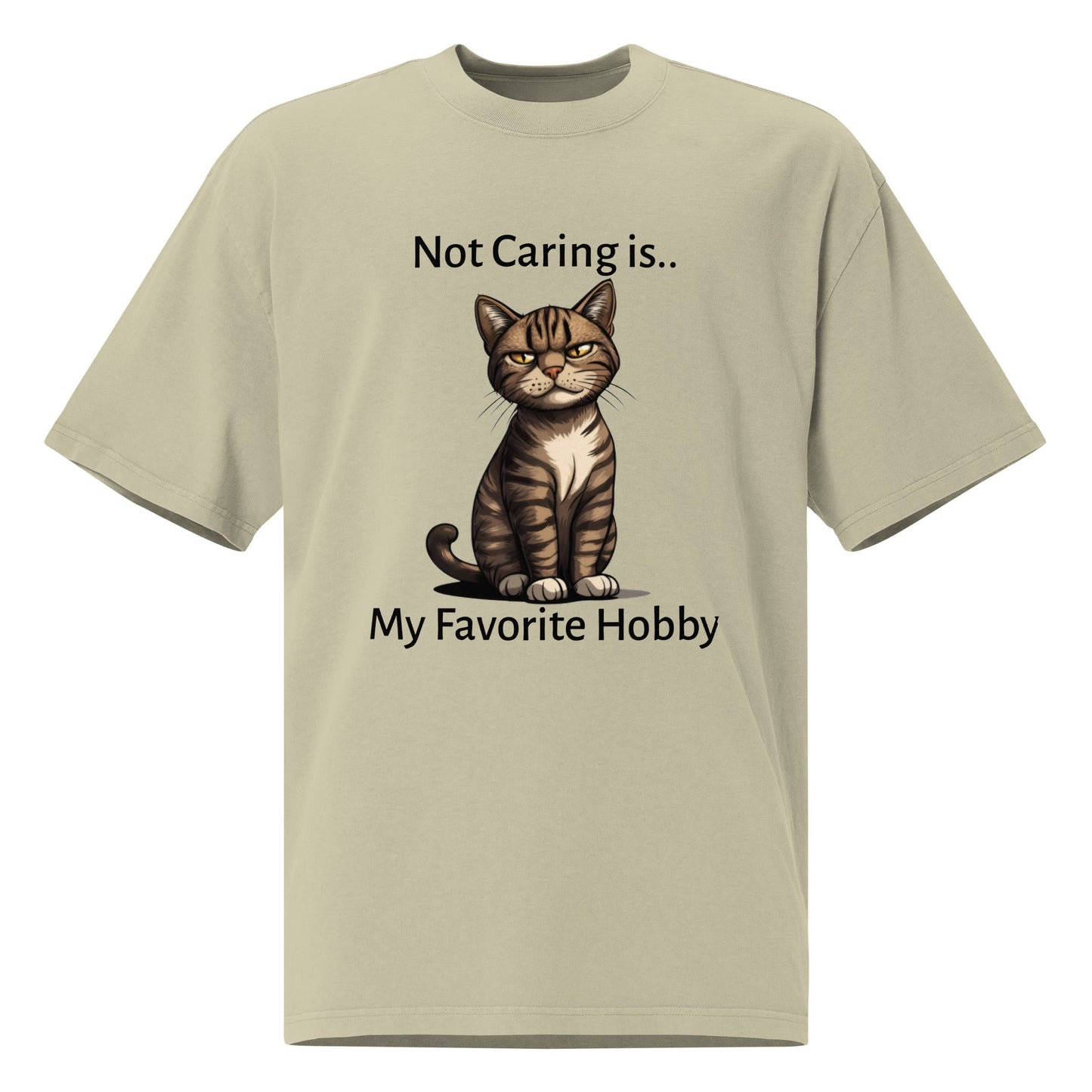 A Purr - fect Pastime Oversized Faded T-shirt - Ruppy's Creations